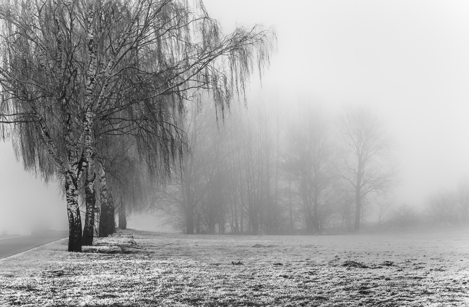 Dense Fog Advisory Remains In Effect Until Noon Monday 1/4/21 - KFIZ ...